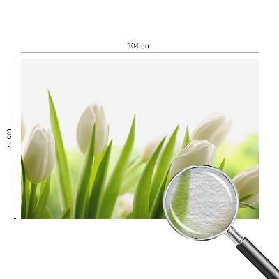Photo wall mural with white tulips