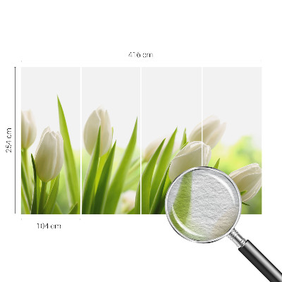 Photo wall mural with white tulips