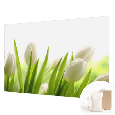 Photo wall mural with white tulips