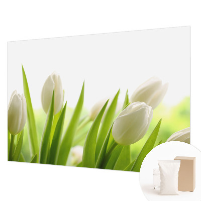 Photo wall mural with white tulips