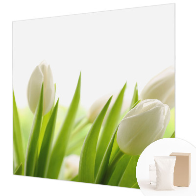 Photo wall mural with white tulips