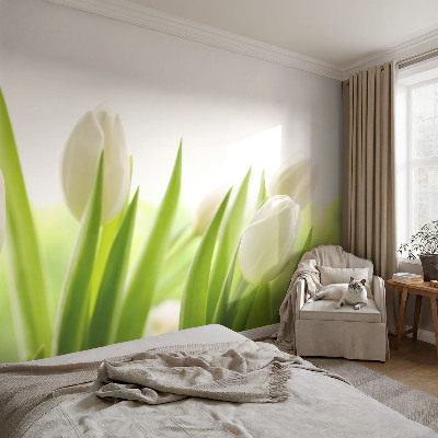 Photo wall mural with white tulips