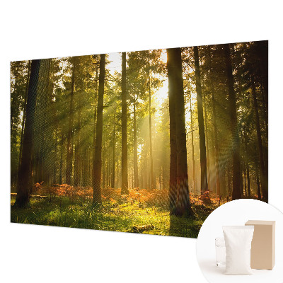 Wall mural for bedroom with a forest morning motif