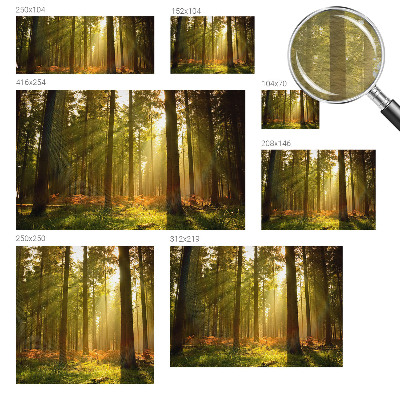 Wall mural for bedroom with a forest morning motif