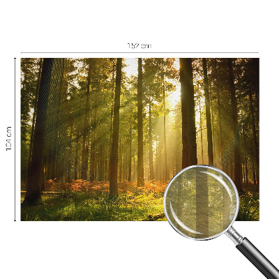 Wall mural for bedroom with a forest morning motif
