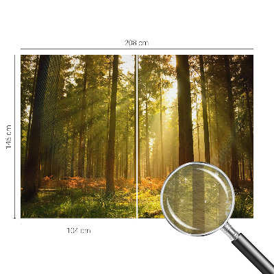 Wall mural for bedroom with a forest morning motif