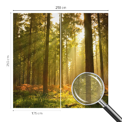 Wall mural for bedroom with a forest morning motif