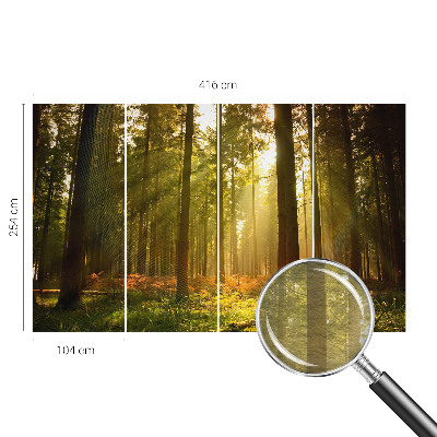 Wall mural for bedroom with a forest morning motif