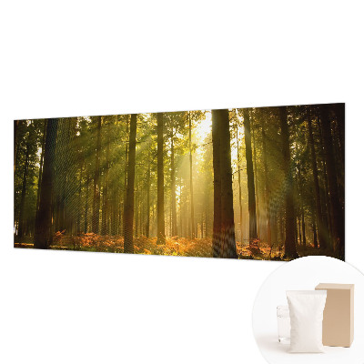 Wall mural for bedroom with a forest morning motif