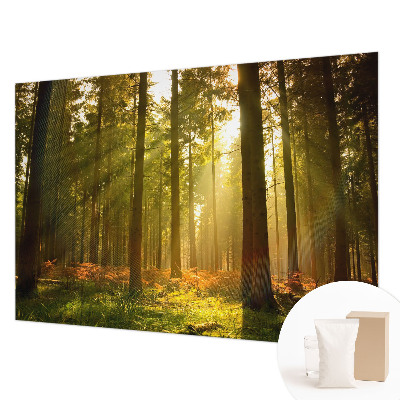 Wall mural for bedroom with a forest morning motif