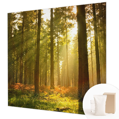 Wall mural for bedroom with a forest morning motif