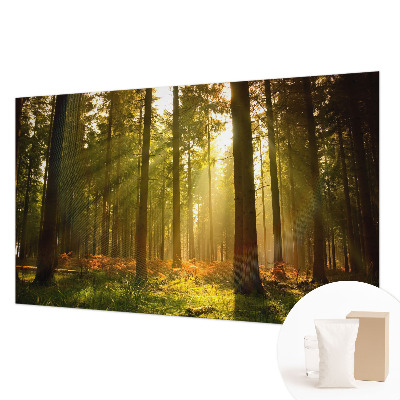 Wall mural for bedroom with a forest morning motif