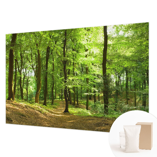 Modern wall mural for living room with a natural path design