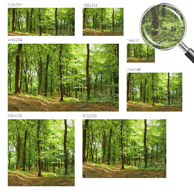 Modern wall mural for living room with a natural path design