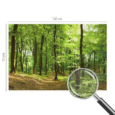 Modern wall mural for living room with a natural path design