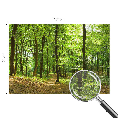 Modern wall mural for living room with a natural path design