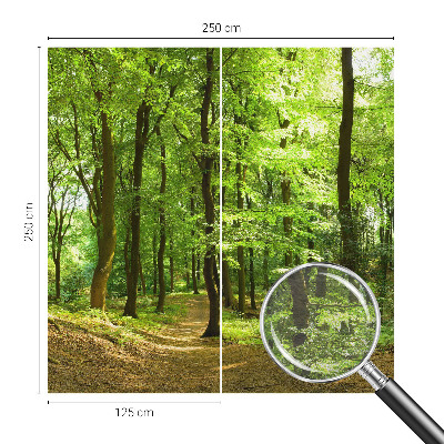 Modern wall mural for living room Natural path