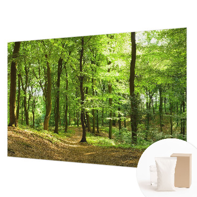 Modern wall mural for living room with a natural path design