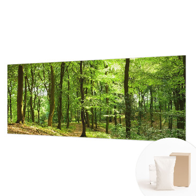 Modern wall mural for living room with a natural path design