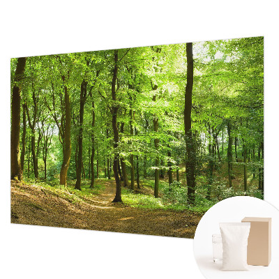 Modern wall mural for living room with a natural path design