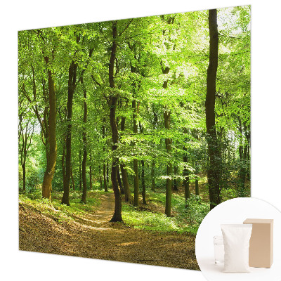 Modern wall mural for living room with a natural path design
