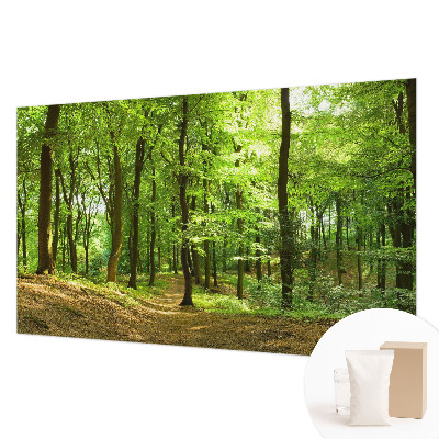 Modern wall mural for living room with a natural path design