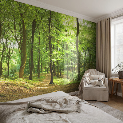 Modern wall mural for living room with a natural path design