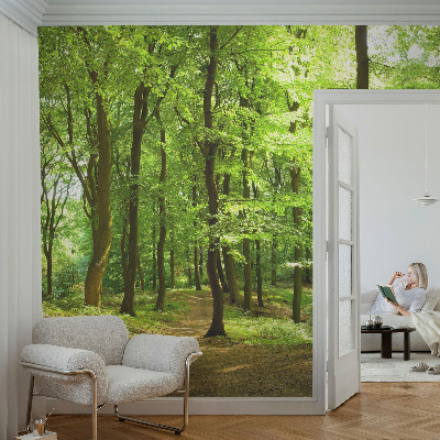 Modern wall mural for living room with a natural path design