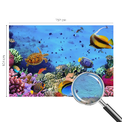 High quality photo wallpaper featuring a coral reef motif