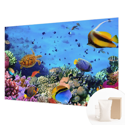 High quality photo wallpaper featuring a coral reef motif