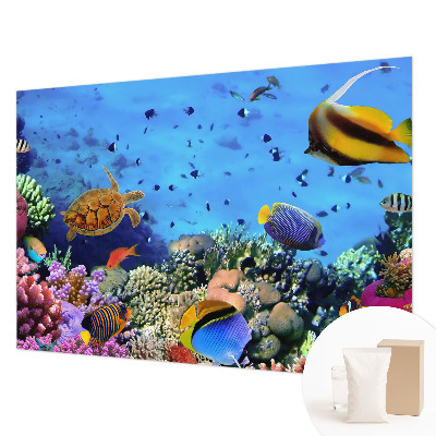 High quality photo wallpaper featuring a coral reef motif