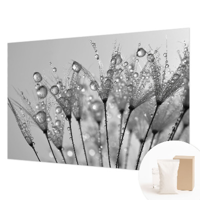 Wallpaper mural Wet delicacy