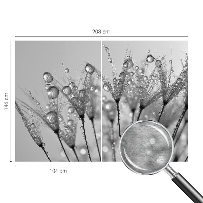 Wallpaper mural Wet delicacy