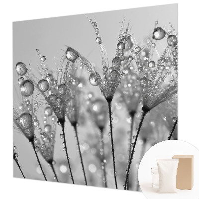 Wallpaper mural with a wet-delicacy design