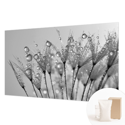 Wallpaper mural with a wet-delicacy design