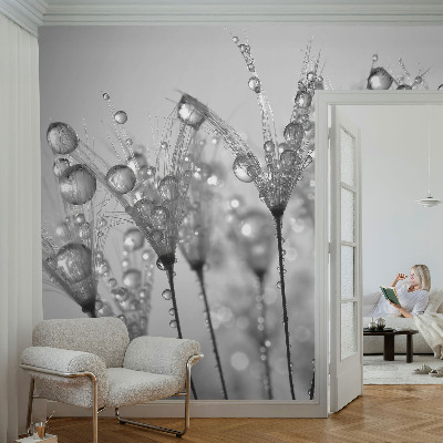 Wallpaper mural Wet delicacy