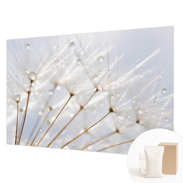 Premium photo wallpaper with a rosy dandelion motif