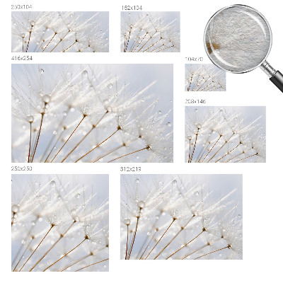 Premium photo wallpaper Rosy dandelion
