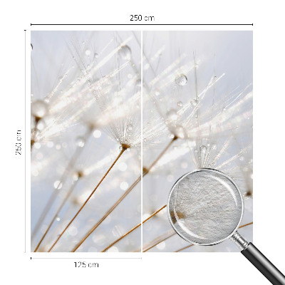 Premium photo wallpaper with a rosy dandelion motif