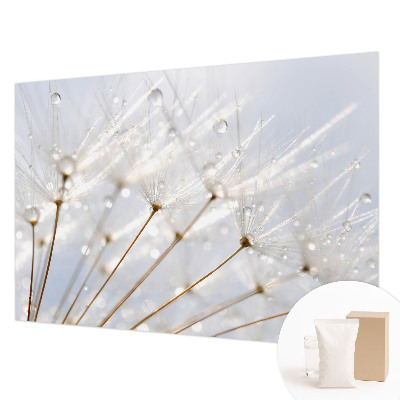 Premium photo wallpaper with a rosy dandelion motif