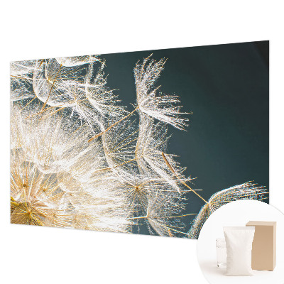 Wallpaper mural with a dandelion motif called 