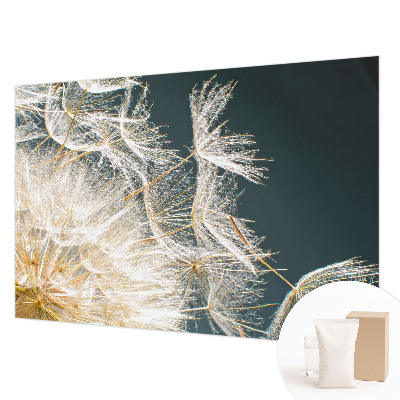 Wallpaper mural Dandelion of lightness