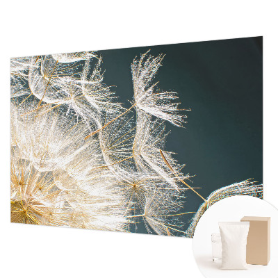 Wallpaper mural Dandelion of lightness