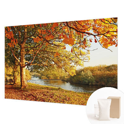Photo wall mural with a coastal autumn motif