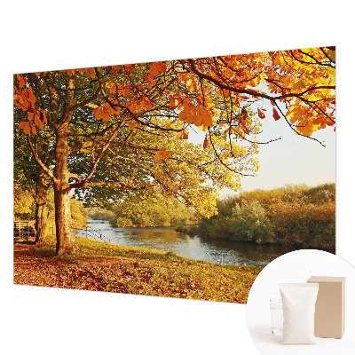 Photo wall mural with a coastal autumn motif