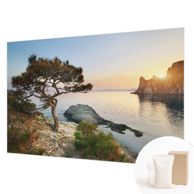 Wallpaper mural for living room featuring a peaceful nature scene