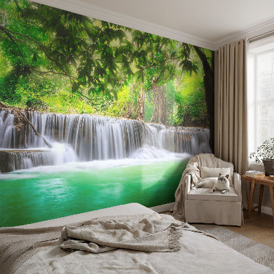 Photo wall mural with a forest waterfall motif