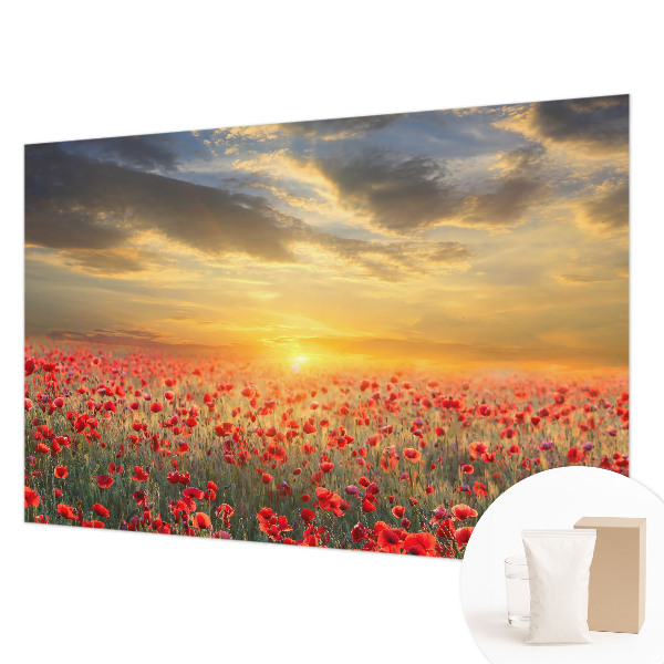 Bedroom wall mural wallpaper with a poppy field motif