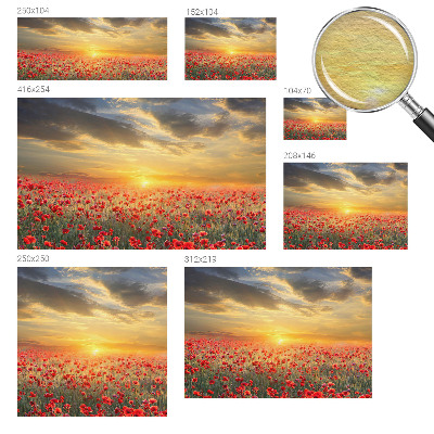 Bedroom wall mural wallpaper with a poppy field motif