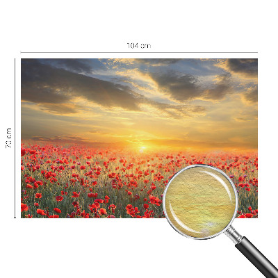 Bedroom wall mural wallpaper Poppy field